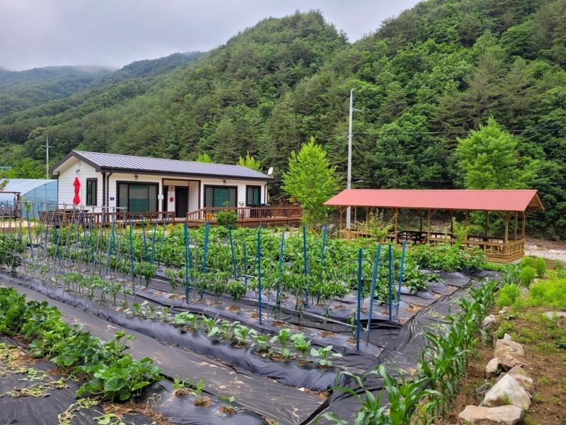 울진 왕피천힐링팜 (Uljin Wangpicheon Healing Farm)