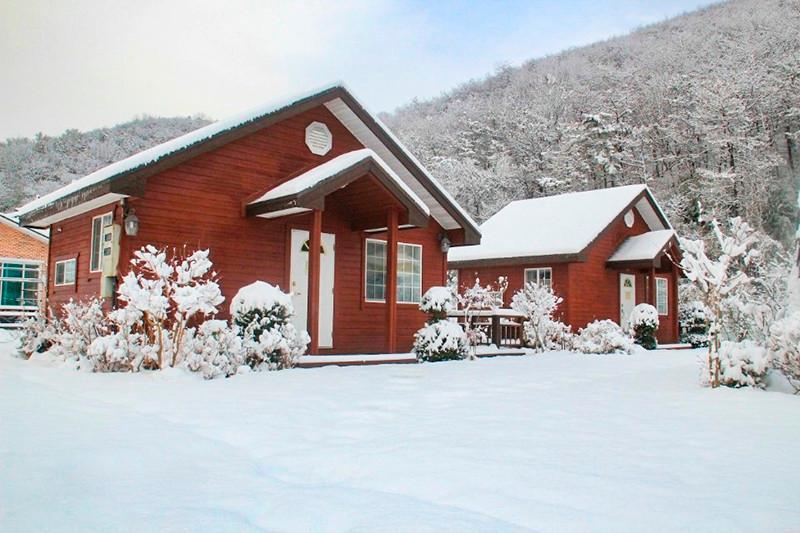 담양 대숲여행펜션 (Damyang Daesupyeohaeng Pension)