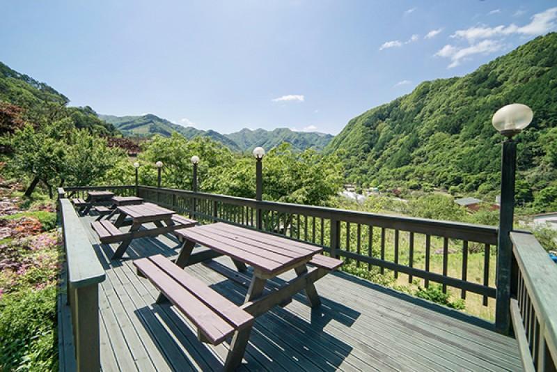 단양 소백산자락펜션 (Danyang Sobaeksan Mountain Pension)