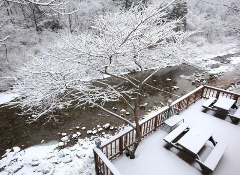 평창 물빛정원펜션 (Pyeongchang Mulbit Garden Pension)