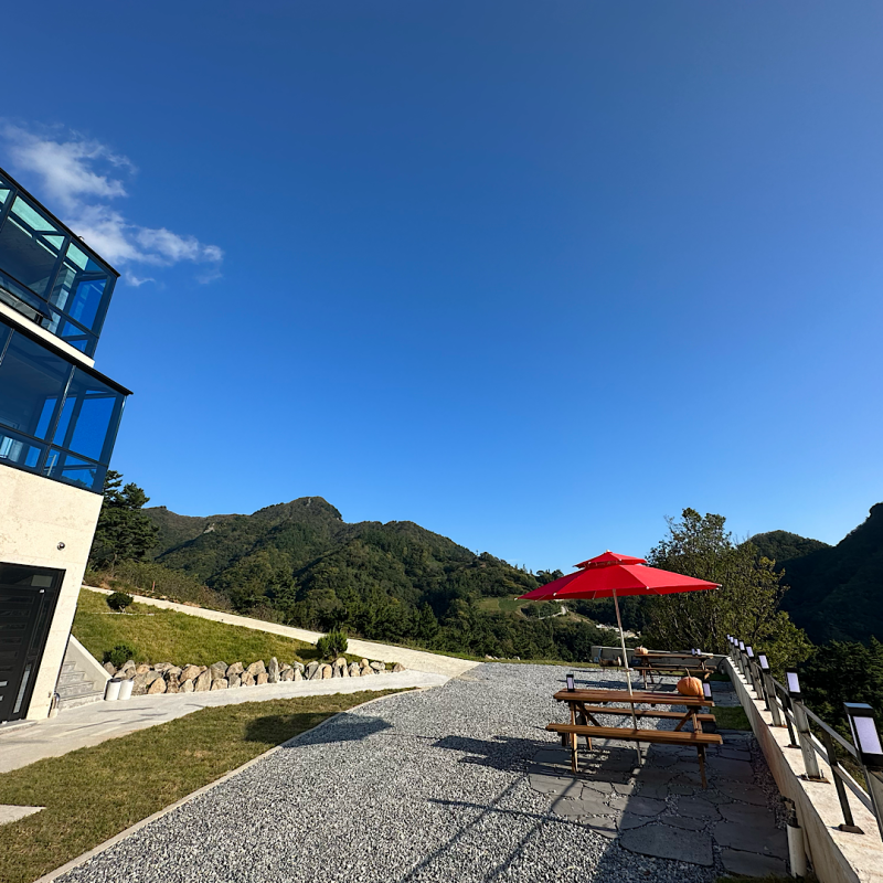 울릉도 숲이야기펜션 (Ulleungdo Forest Story Pension)