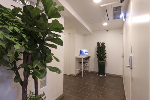 K-게스트하우스 명동 1 (K-Guesthouse Myeongdong 1)