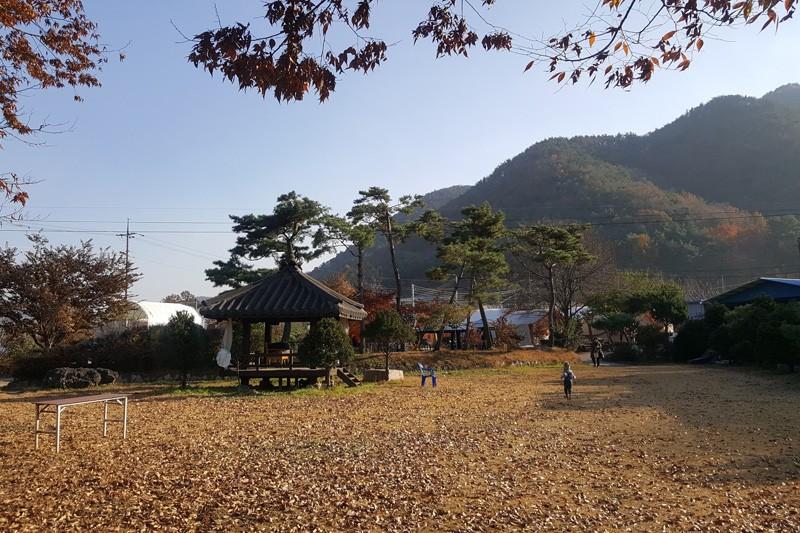 보은 보은글램핑 (Boeun Glamping)