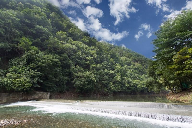 괴산 반딧불가족펜션 (Goesan Banditbul Family Pension)