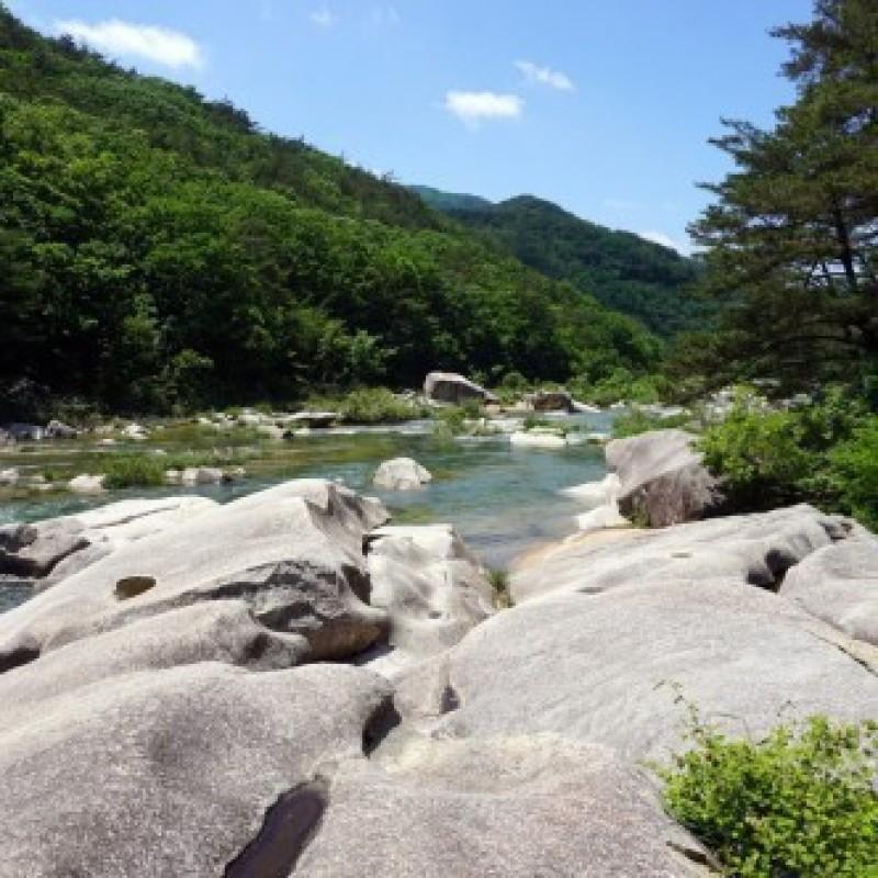 괴산 아리솔펜션 (Goesan Arisol Pension)