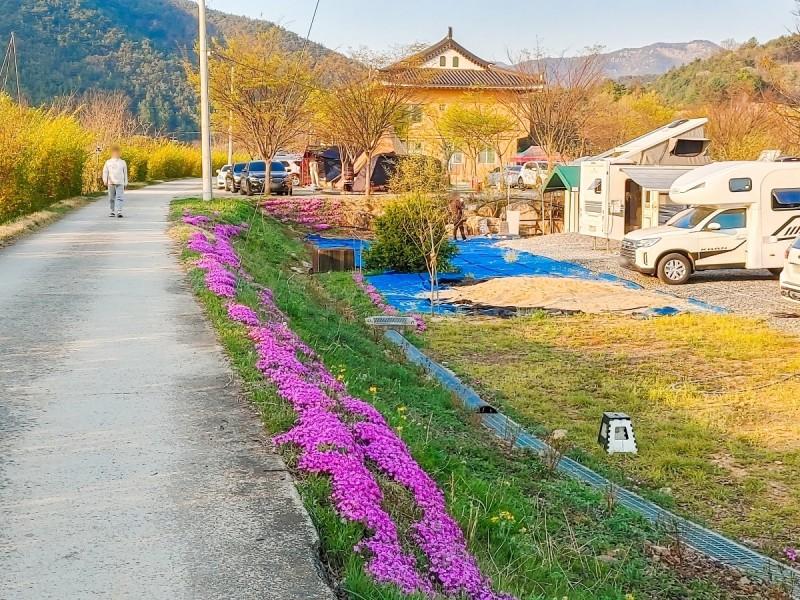 보은 정이품송캠핑장펜션 (Boeun Jeongipumsong Camping Site Pension)