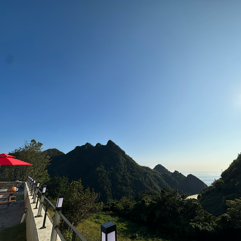 울릉도 숲이야기펜션 (Ulleungdo Forest Story Pension)