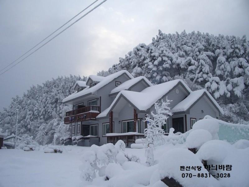 강릉 하늬바람펜션 (Gangneung Hanui Baram Pension)