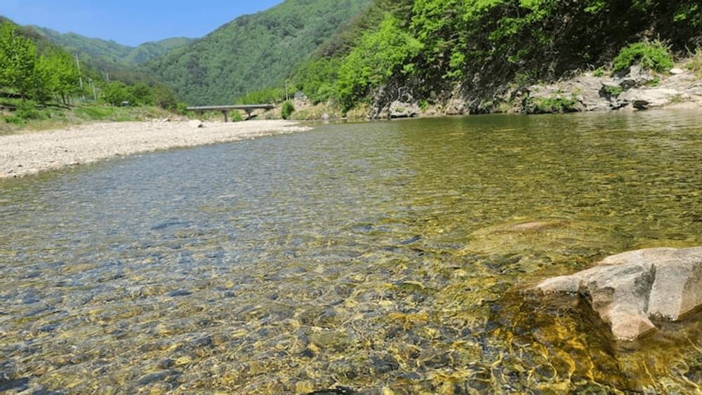 울진 왕피천힐링팜 (Uljin Wangpicheon Healing Farm)