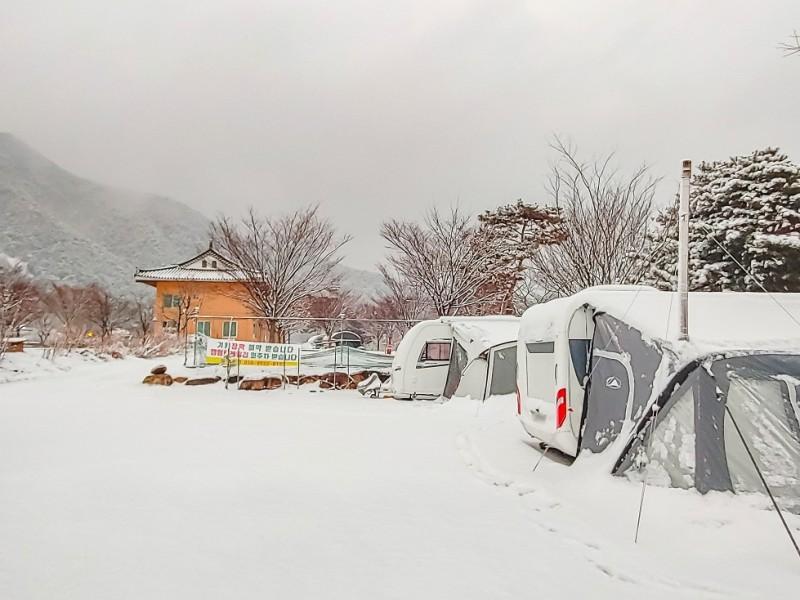 보은 정이품송캠핑장펜션 (Boeun Jeongipumsong Camping Site Pension)