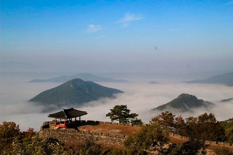 담양 대숲여행펜션 (Damyang Daesupyeohaeng Pension)