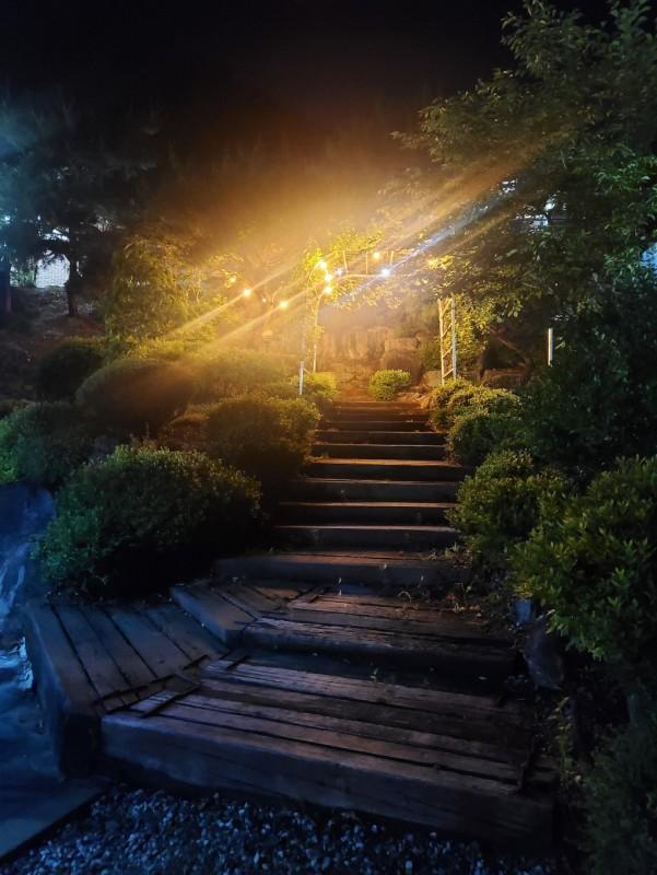 충주 봉골펜션 (Chungju Bonggol Pension)