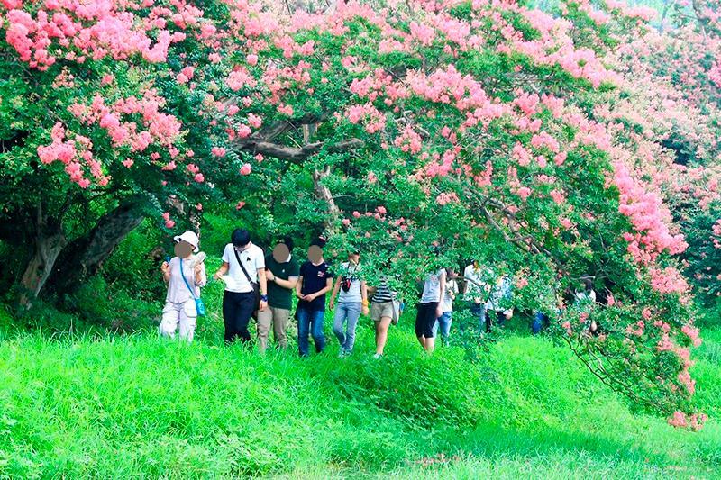 담양 대숲여행펜션 (Damyang Daesupyeohaeng Pension)