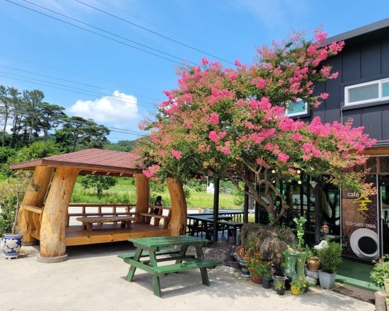 울진 숲속의산장펜션 (Uljin Forest Lodge Pension)