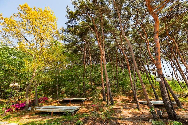 화성(제부도) 동미산펜션 (Hwaseong (jebudo) Dongmisan Pension)