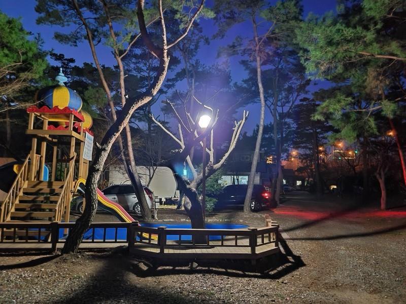 포천 파인트리글램핑n풀빌라 (Pocheon Pine Tree Glamping Poolvilla)