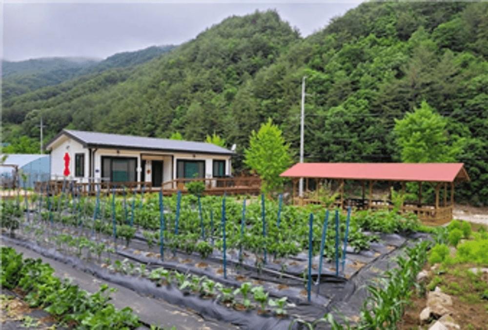 울진 왕피천힐링팜 (Uljin Wangpicheon Healing Farm)