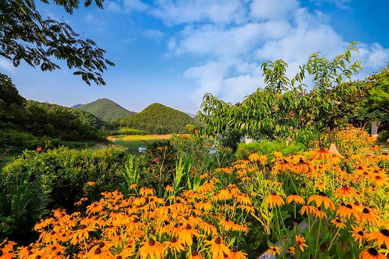 제천 녹수와청산의집펜션 (Jecheon Noksu and Cheongsan House Pension)