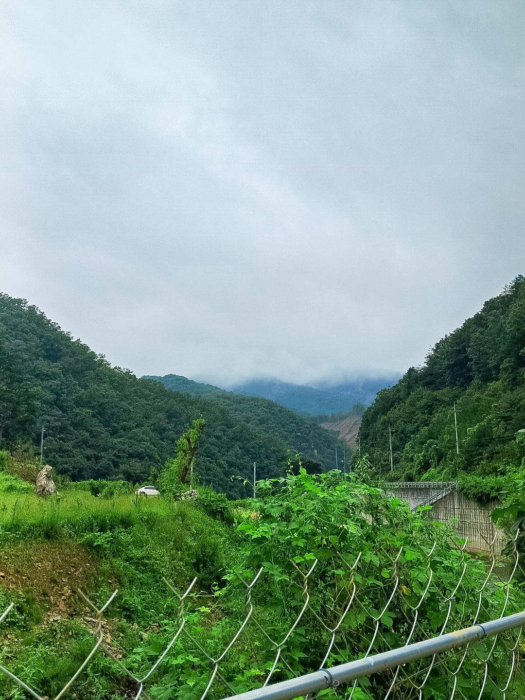 문경 동로포레스트 (Mungyeong Dongro Forest)