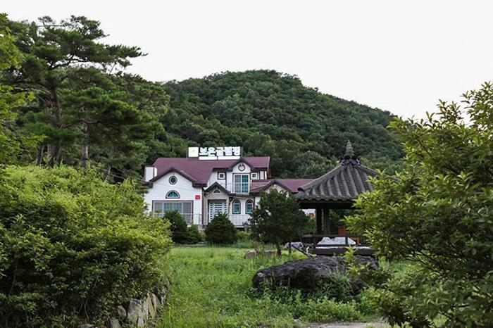 보은 보은글램핑 (Boeun Glamping)