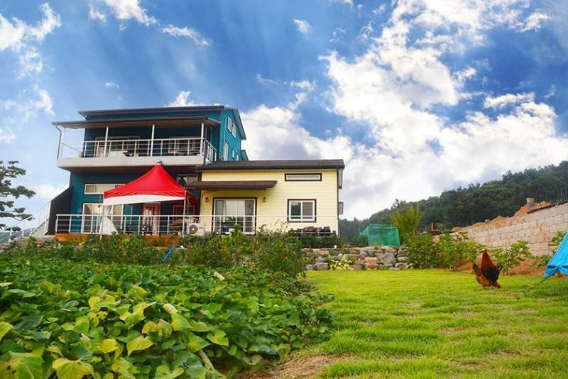 보령 무창포간드리집펜션 (Boryeong Muchangpo Gandri House Pension)