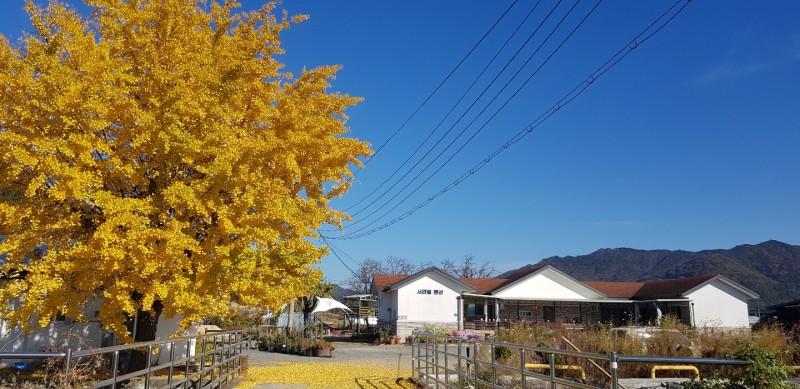 논산 서라벌펜션 (Nonsan Seorabeol Pension)