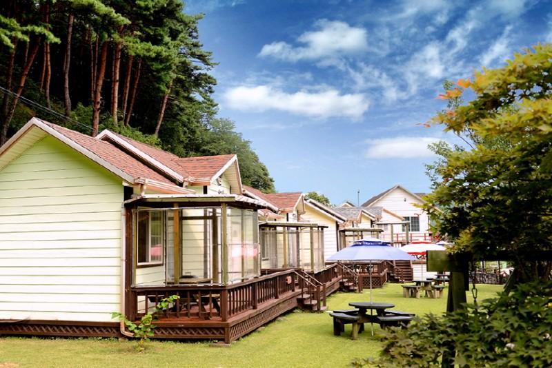 양양 시골풍경펜션 (Yangyang Sigol Punggyeong Pension)