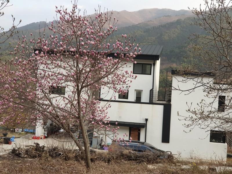 봉화 홍제원펜션 (Bonghwa Hongjewon Pension)