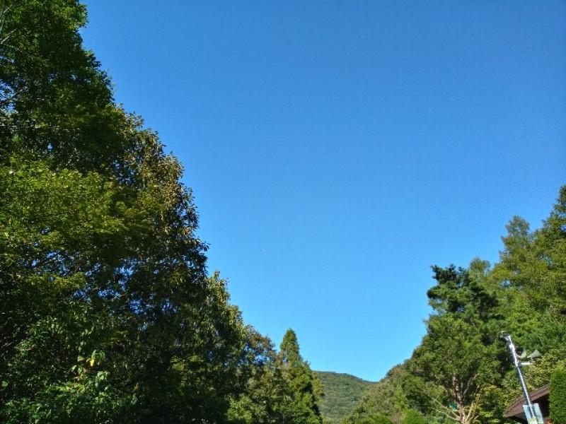 장성 편백숲속펜션 (Jangseong Cypress Forest Pension)
