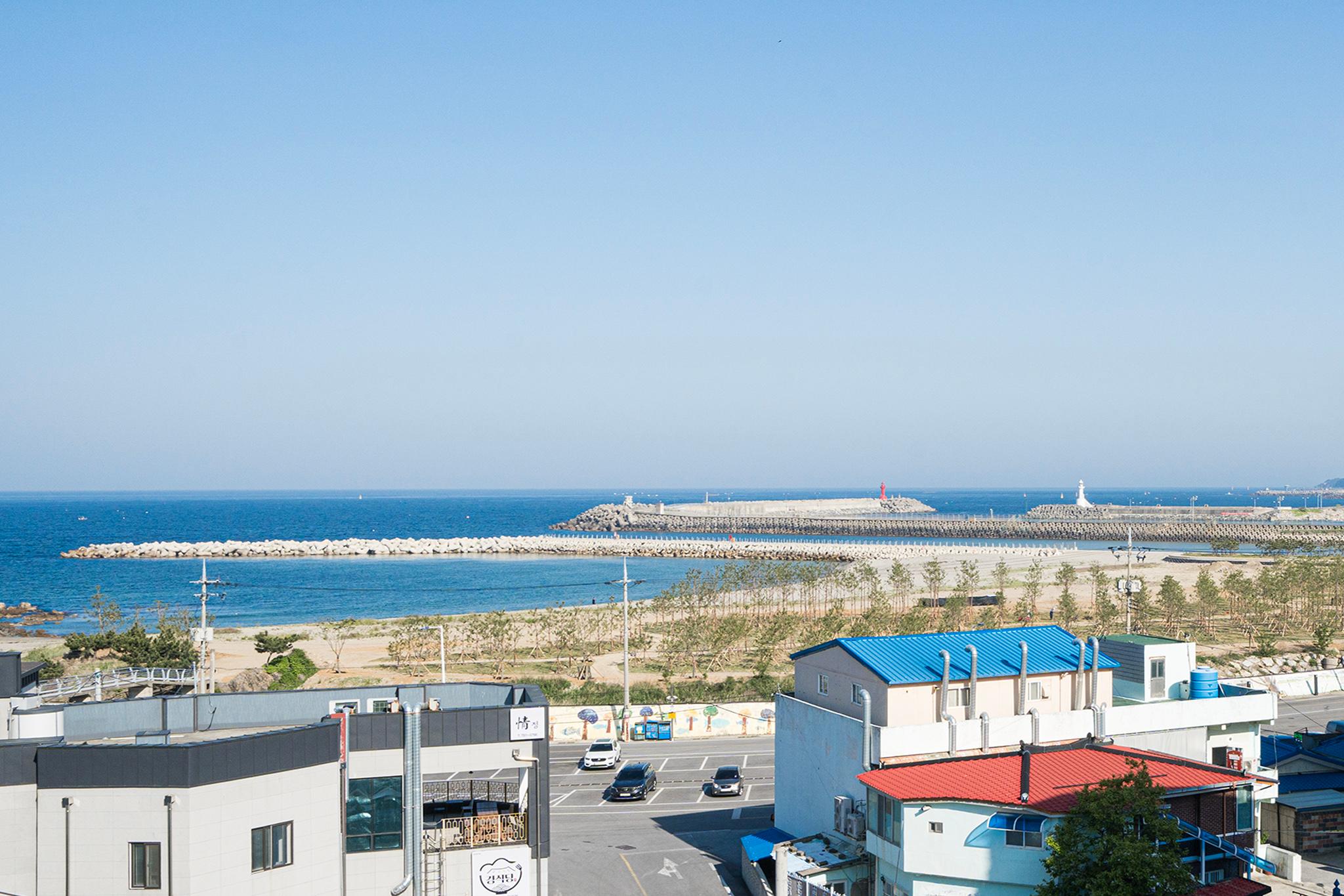 울진 에이스 (Uljin Ace)