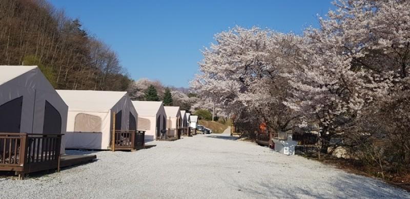 주문진글램핑오토캠핑장 (Jumunjin Glamping Auto Camping Site)