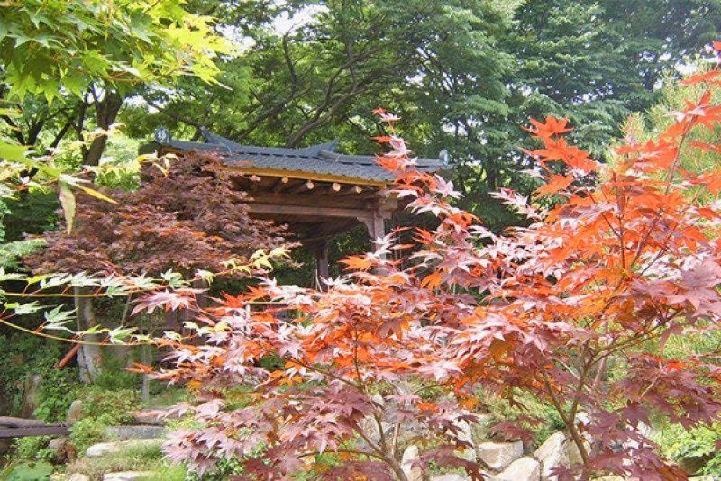 Yesan Healing House Pension