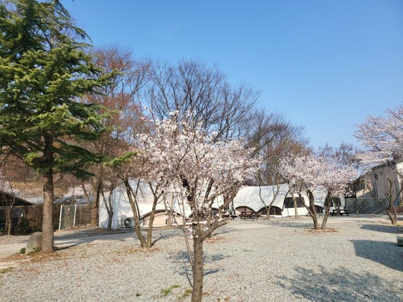 아산 와이제이(YJ) (Asan YJ)