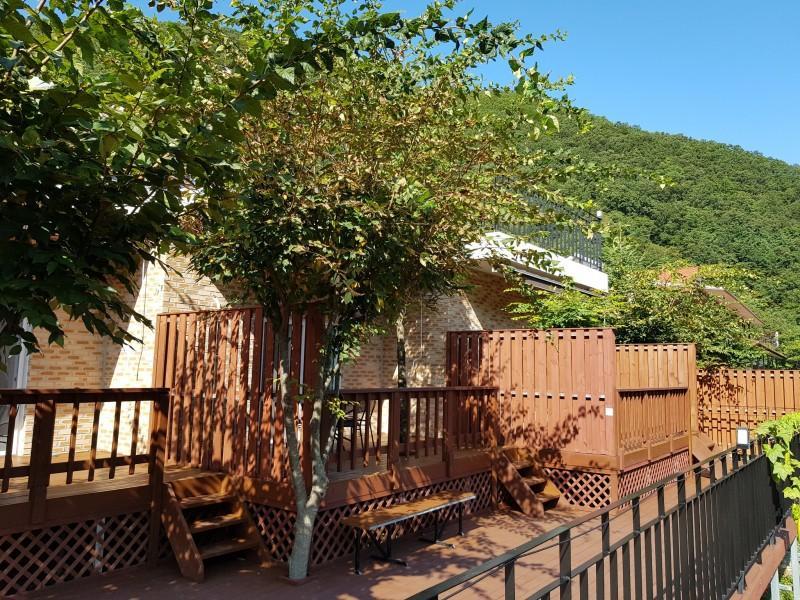 단양 리더스펜션 (Danyang Leaders Pension)