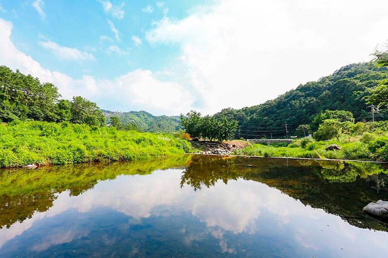 공주 하얀펜션 (Gongju Hayan Pension)