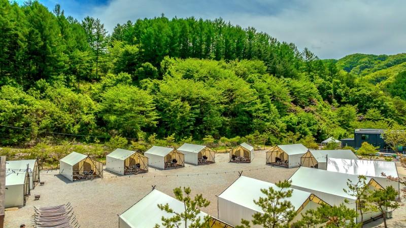 포천 호랑이캠핑&글램핑 산정호수점 (Pocheon Tiger Camping & Glamping Sanjeong Lake Branch)