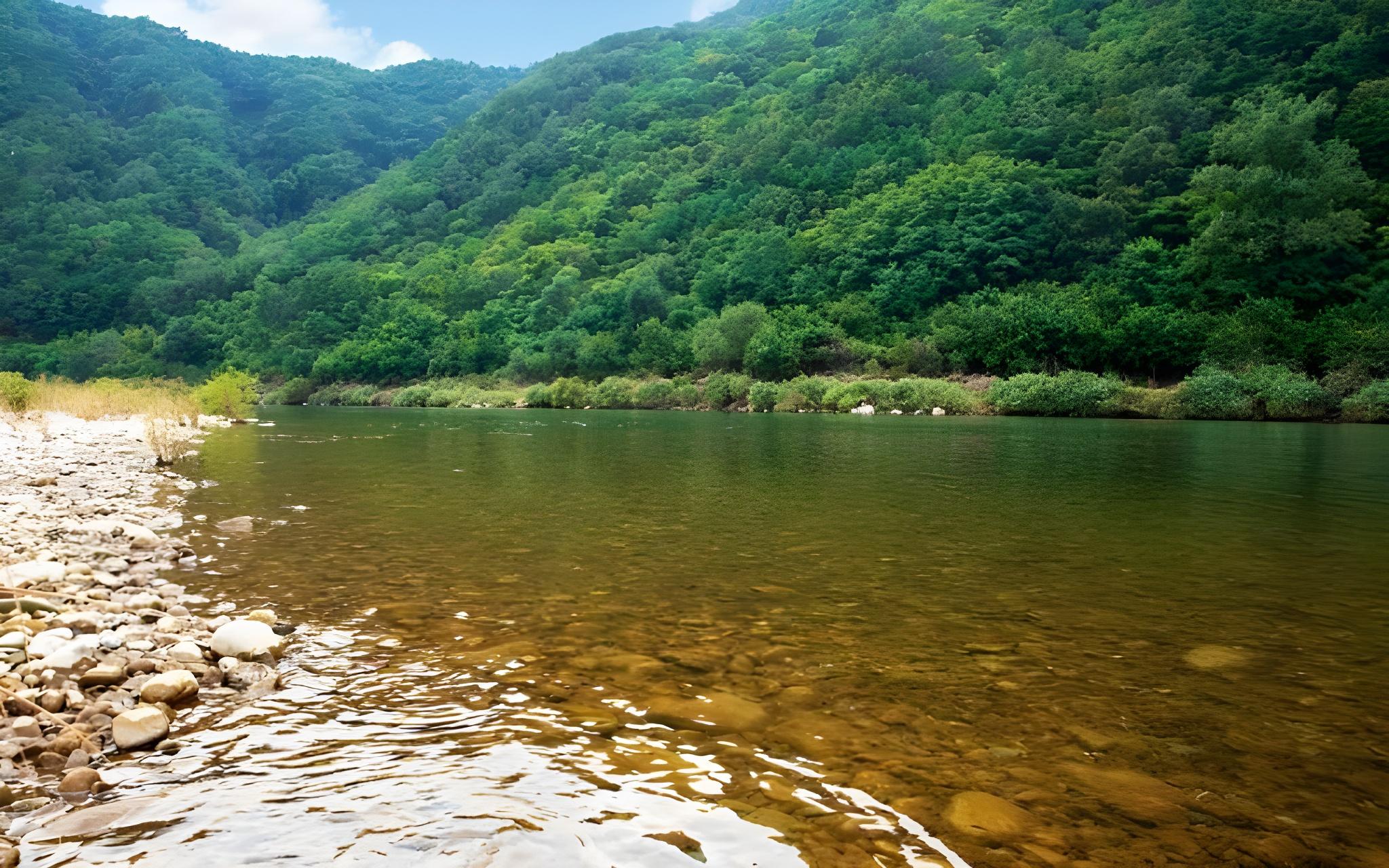 단양 파인카라반캠핑장 (Danyang Pine Caravan Camping)