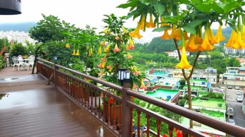 여수 정원이예쁜독채펜션 (Yeosu Beautiful Garden Unshared House Pension)