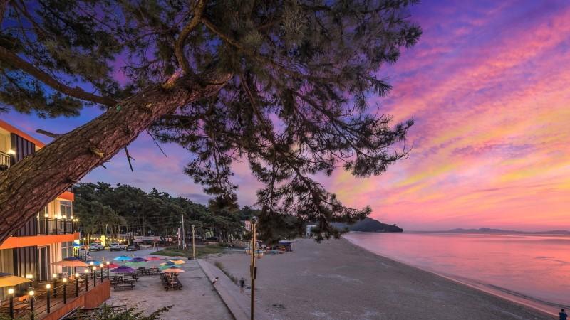 부안 해피트리가족호텔 고사포펜션동 (Buan Happy Tree Family Hotel Gosapo Pension Building)