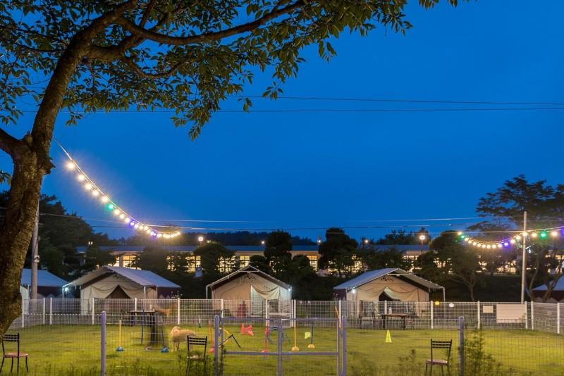 서산 펫앤트리글램핑 (Seosan Pet and Tree Glamping)
