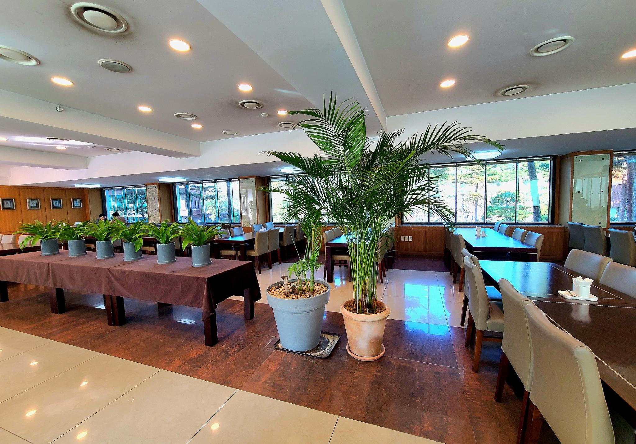 쉐르빌 온천 관광 호텔 (Chereville Spa Tourist Hotel)