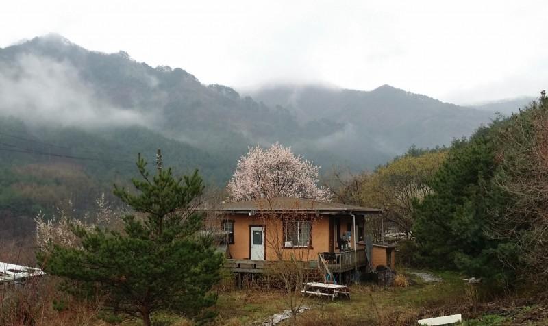 봉화 홍제원펜션 (Bonghwa Hongjewon Pension)