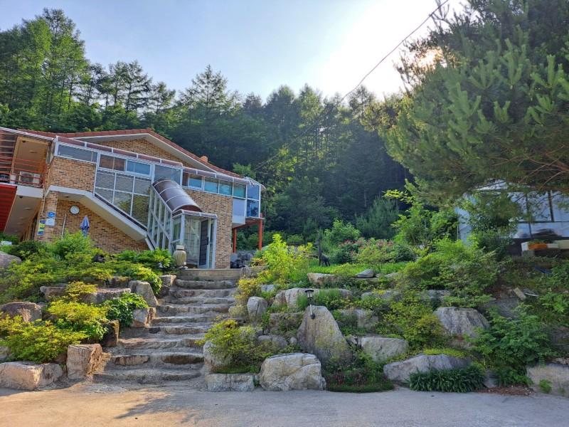 고성 편백하우스 (Goseong Cypress House)