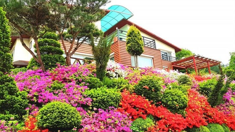 단양 향기나무펜션 (Danyang Fragrant Tree Pension)