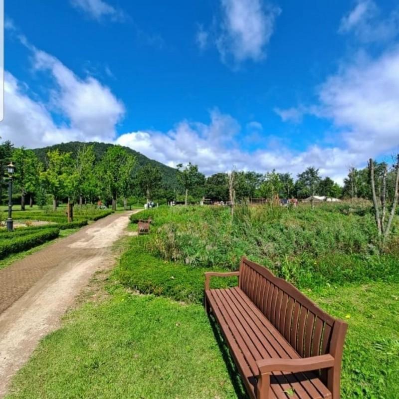평창 오대산산들펜션 (Pyeongchang Odaesandeul Pension)