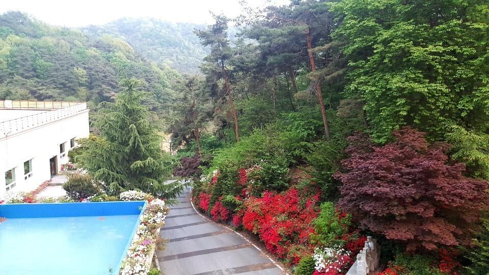 칠갑산 샬레 호텔 (chilgabsan cale hotel)