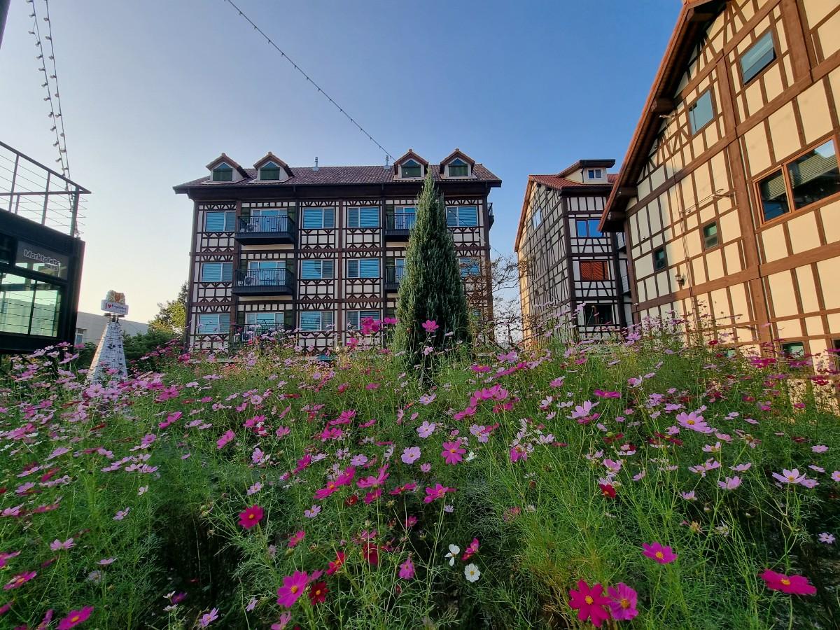 유럽마을 문화체험 B&B Basic 코스