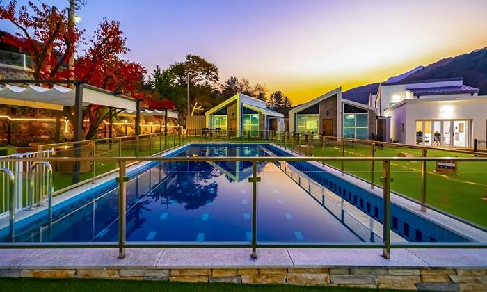 Gold Spoon Dog Pool Villa