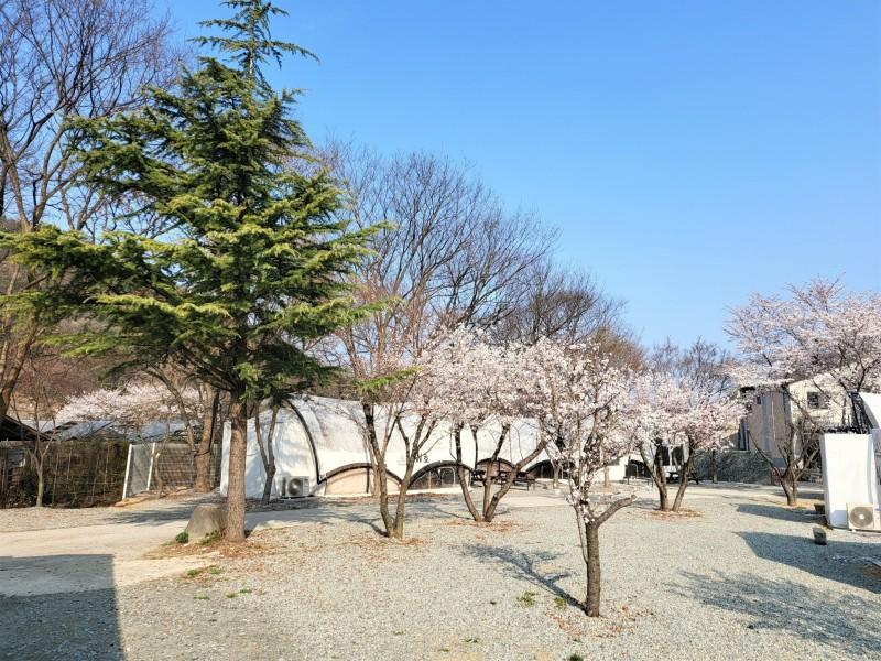 아산 와이제이(YJ) (Asan YJ)
