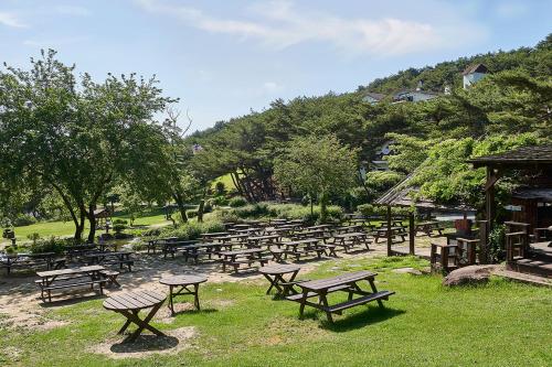 클럽 이에스 제천 리조트 (Club ES Jecheon Resort)